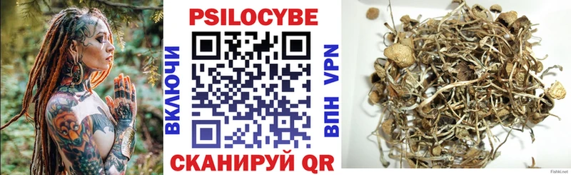 Купить закладки  Знаменск  Псилоцибиновые грибы Psilocybine cubensis 